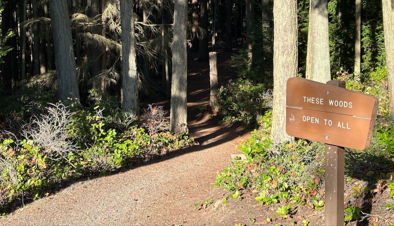 A sign reads "These woods open to all" at the entrance to a forest trail.